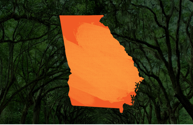 State of Georgia illustration