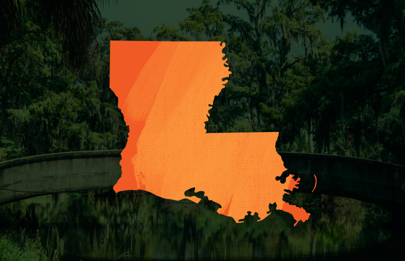 State of Louisiana illustration
