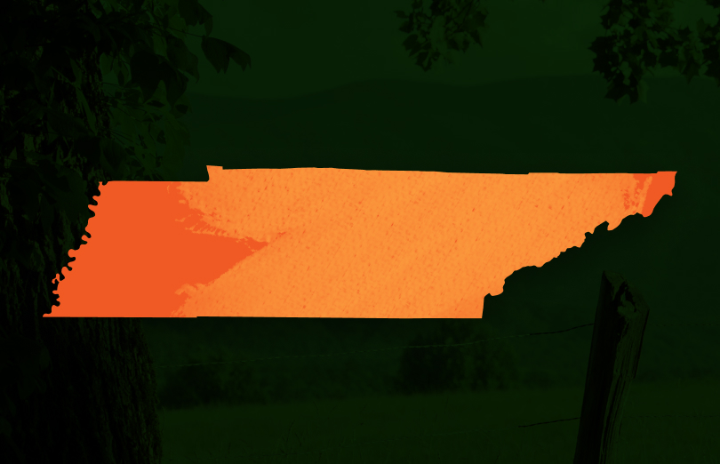 State of Tennessee illustration